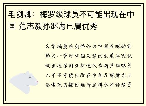 毛剑卿：梅罗级球员不可能出现在中国 范志毅孙继海已属优秀